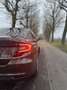 Fiat Tipo 1.0 T FireFly Life Bruin - thumbnail 8