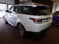 Land Rover Range Rover Sport HSE 3.0 sdV6 306cv auto E6 Blanco - thumbnail 6