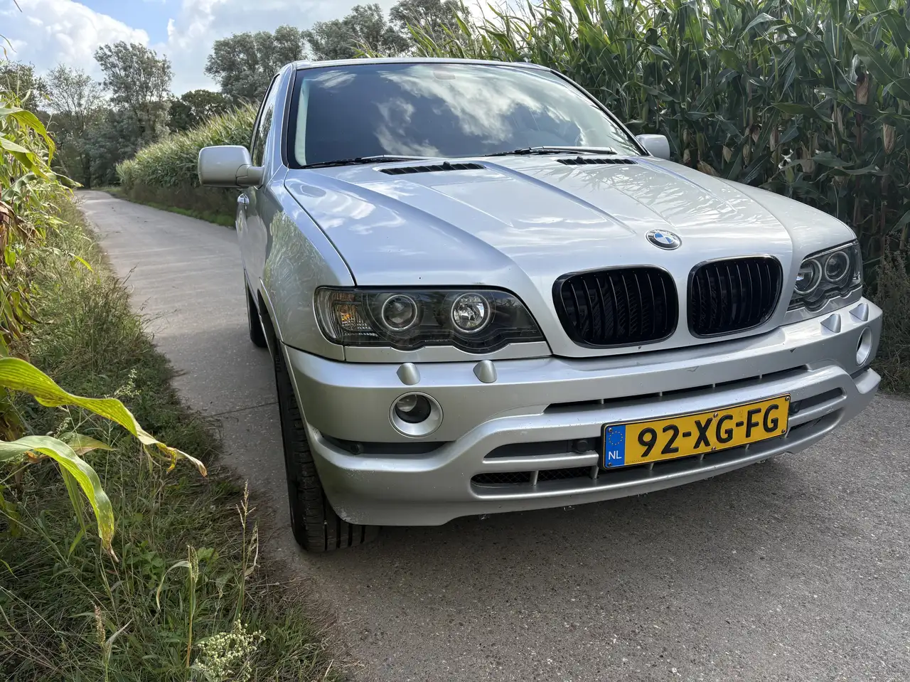 BMW X5 4.4i Executive V8, foto 2