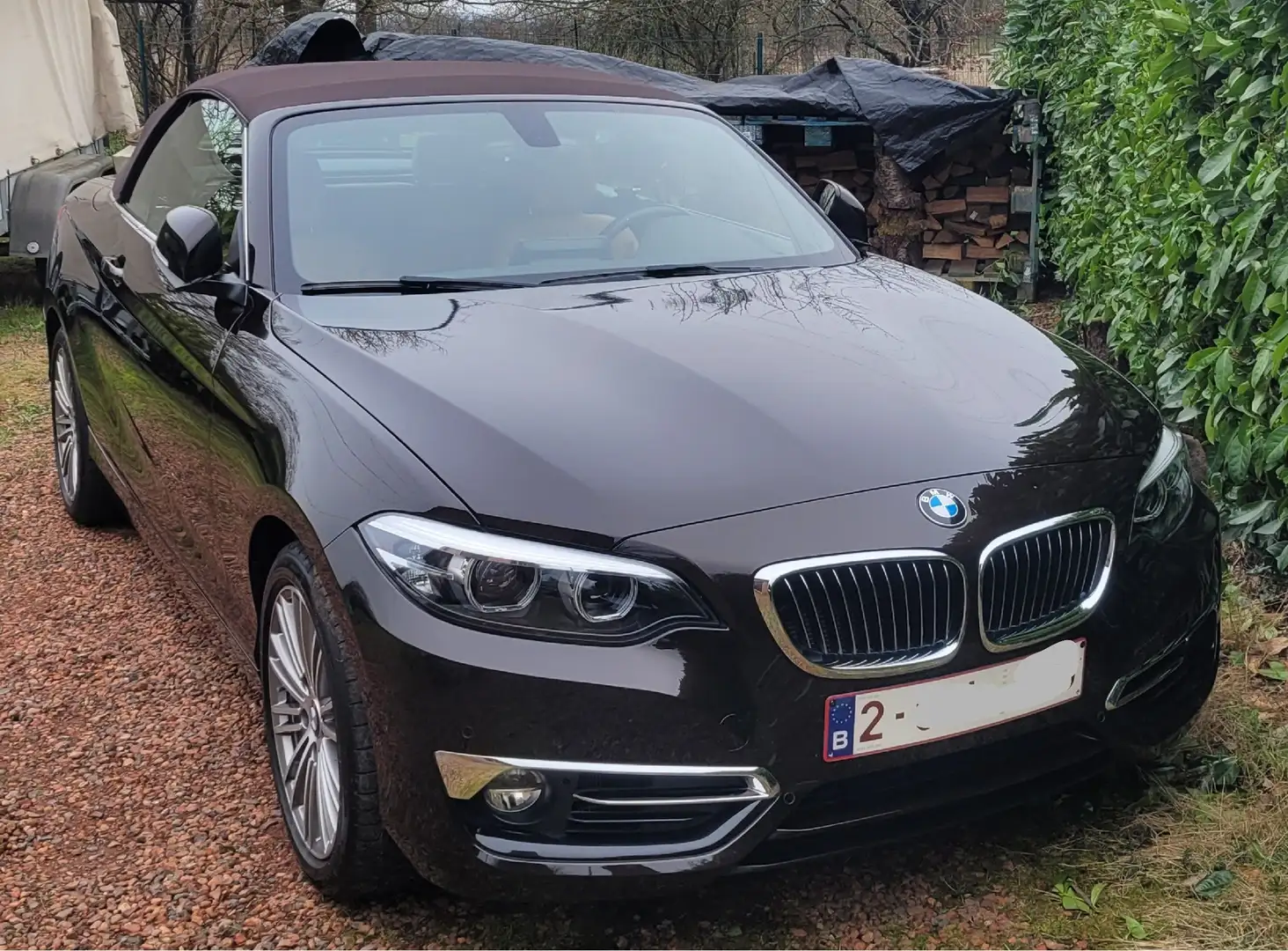 BMW 218 Cabrio+218iA Bruin - 1
