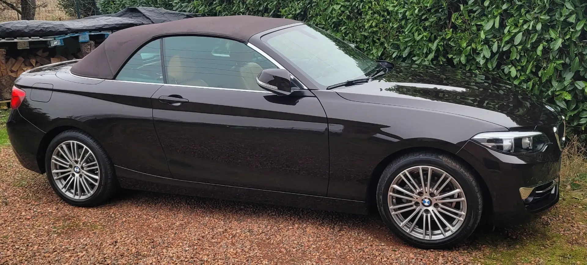 BMW 218 Cabrio+218iA Bruin - 2