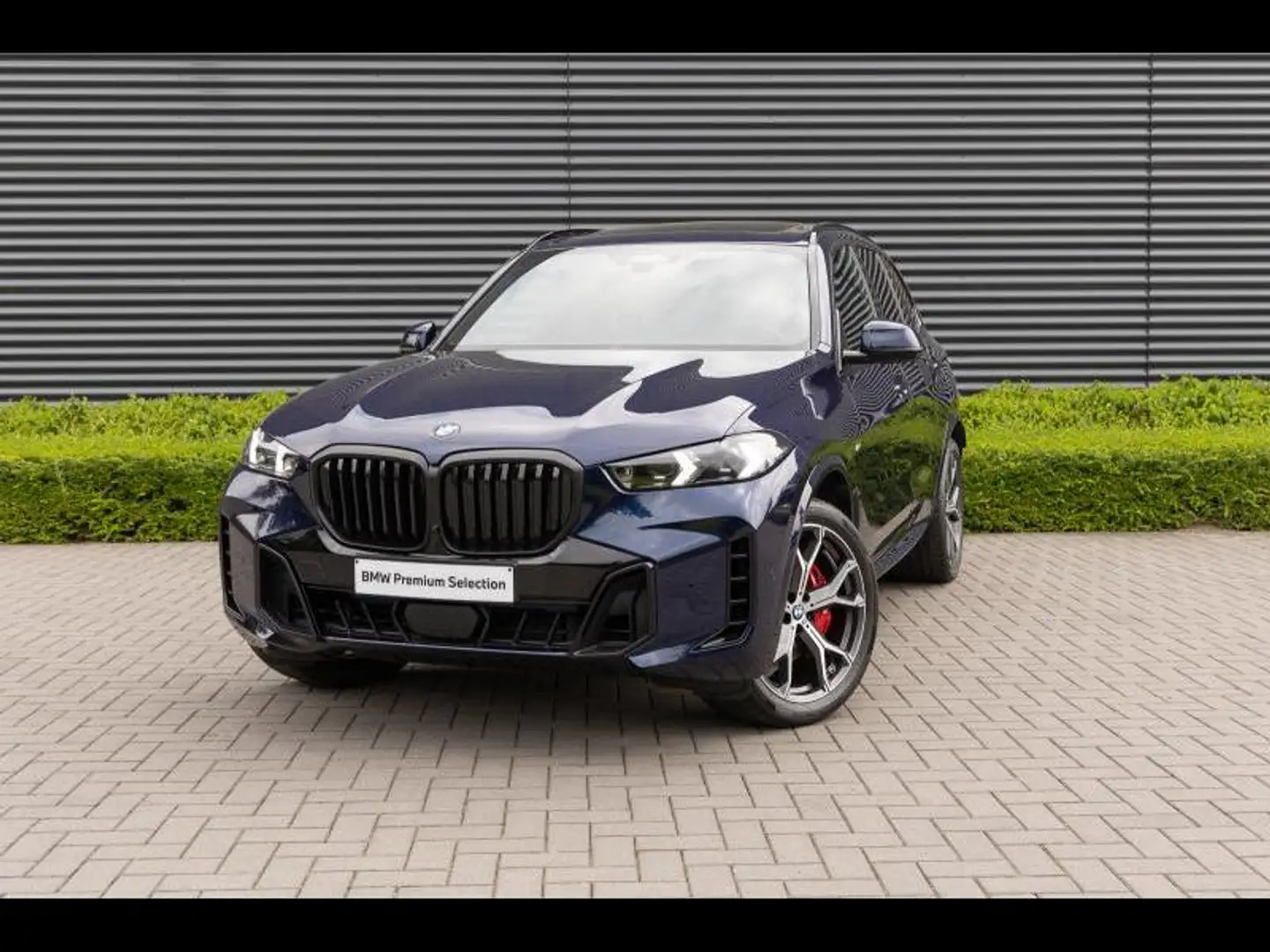BMW X5 xDrive30d Blau - 1