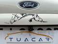 Ford EcoSport Titanium 1.5 EcoBlue Alb - thumbnail 12