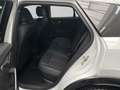 Audi SQ2 quattro AHK ACC MATRIX RFK SOUND SHZ Alb - thumbnail 13