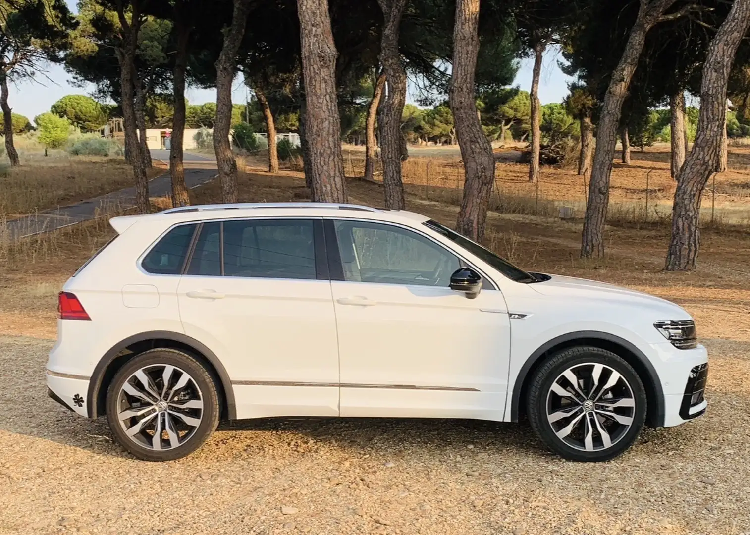 Volkswagen Tiguan 2.0TDI Sport DSG 110kW - 1