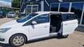 Ford C-Max Grande TDCi Weiß - thumbnail 4