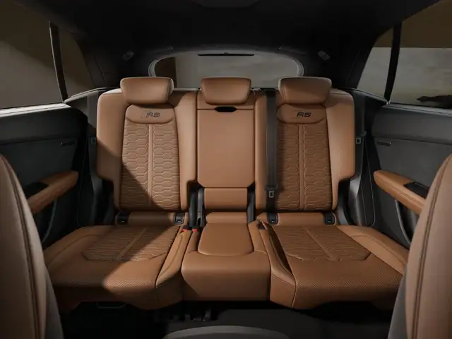 Audi RS Q8 view 10