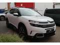 Citroen C5 Aircross ShinePack BHDi130 EAT8 Voll Dach 360 Weiß - thumbnail 5