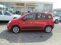 Fiat Panda 1.2 Lounge 69cv Rood - thumbnail 3