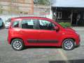Fiat Panda 1.2 Lounge 69cv Rood - thumbnail 2
