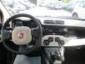 Fiat Panda 1.2 Lounge 69cv Rood - thumbnail 10