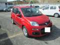 Fiat Panda 1.2 Lounge 69cv Rood - thumbnail 5
