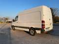 Mercedes-Benz Sprinter 313 CDI Bianco - thumbnail 6
