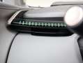 Zeekr X RWD Long Range 69 kWh Pano dak | ACC | HUD|  Yamah - thumbnail 34
