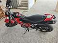 Ducati Hypermotard 1100 EVO Rosso - thumbnail 2
