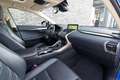 Lexus NX 300h Luxury Line | Schuifdak | Adaptieve cruise | Leer Bleu - thumbnail 12