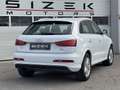 Audi Q3 2,0 TDI quattro DPF S-tronic Weiß - thumbnail 4