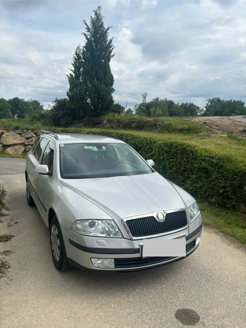 Skoda Octavia Octavia Combi 1,9 TDI PD DPF 4x4 Silver - 1