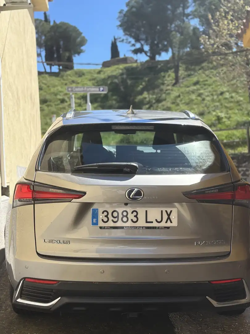 Lexus NX 300h Business 2WD - 2