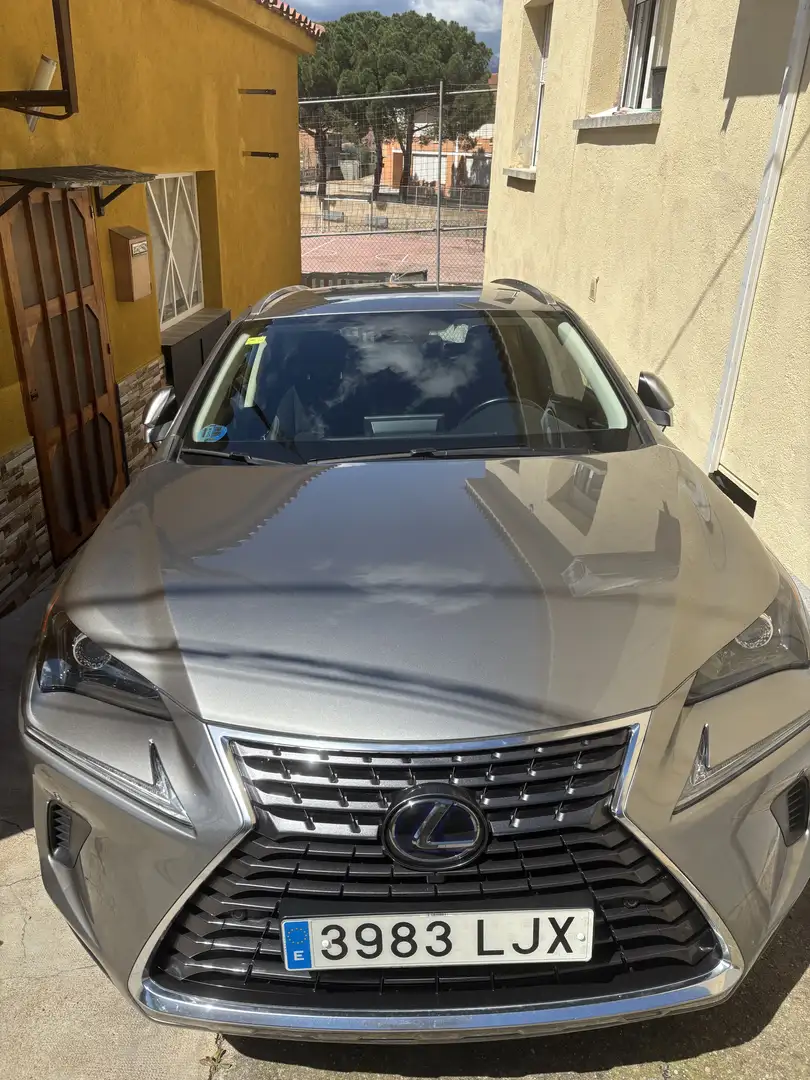 Lexus NX 300h Business 2WD - 1