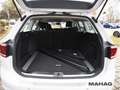 Volkswagen Passat Variant 2.0 TDI Navi LED AHK DSG Weiß - thumbnail 25