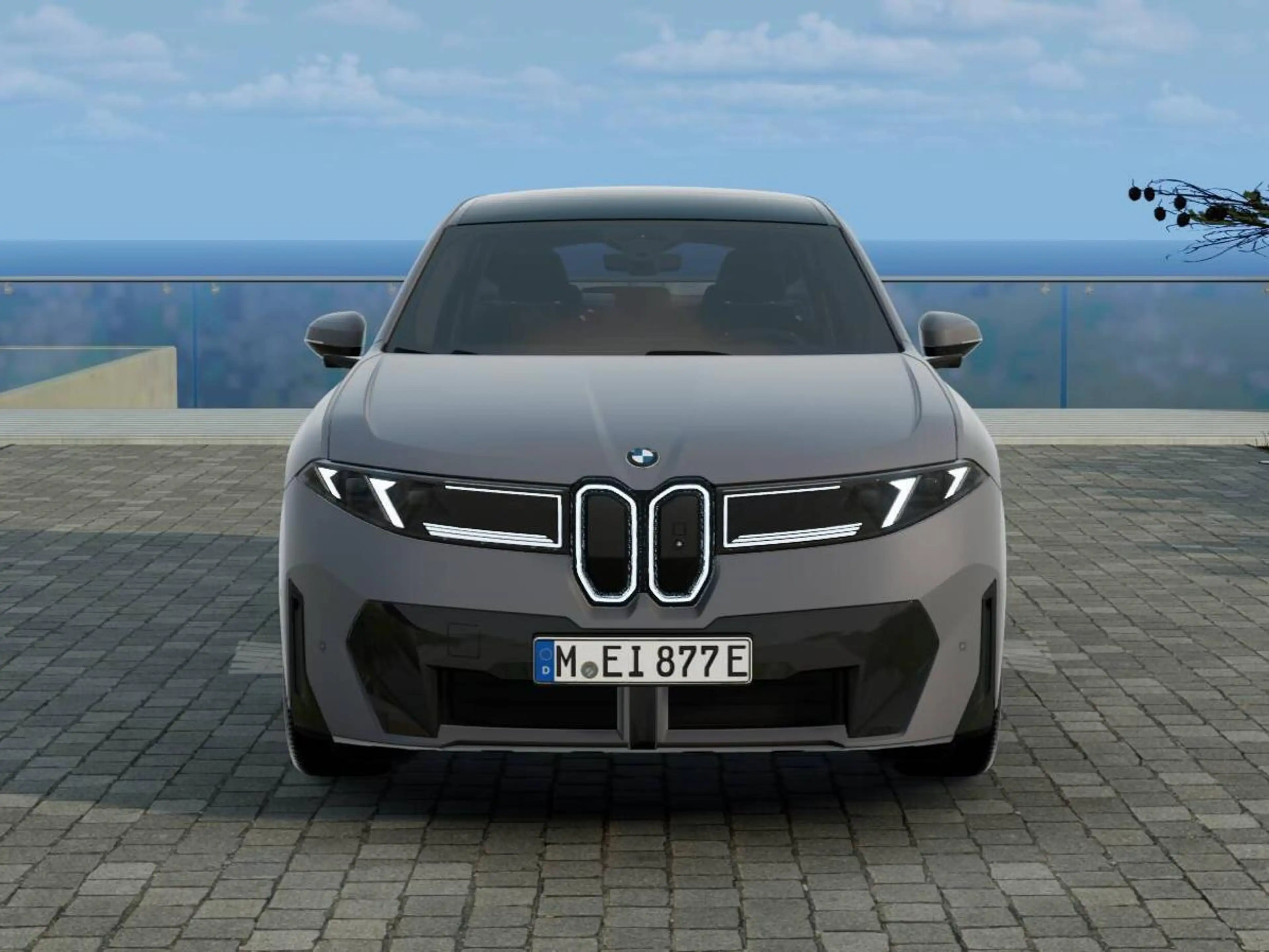 BMW iX3 40 — photo 3