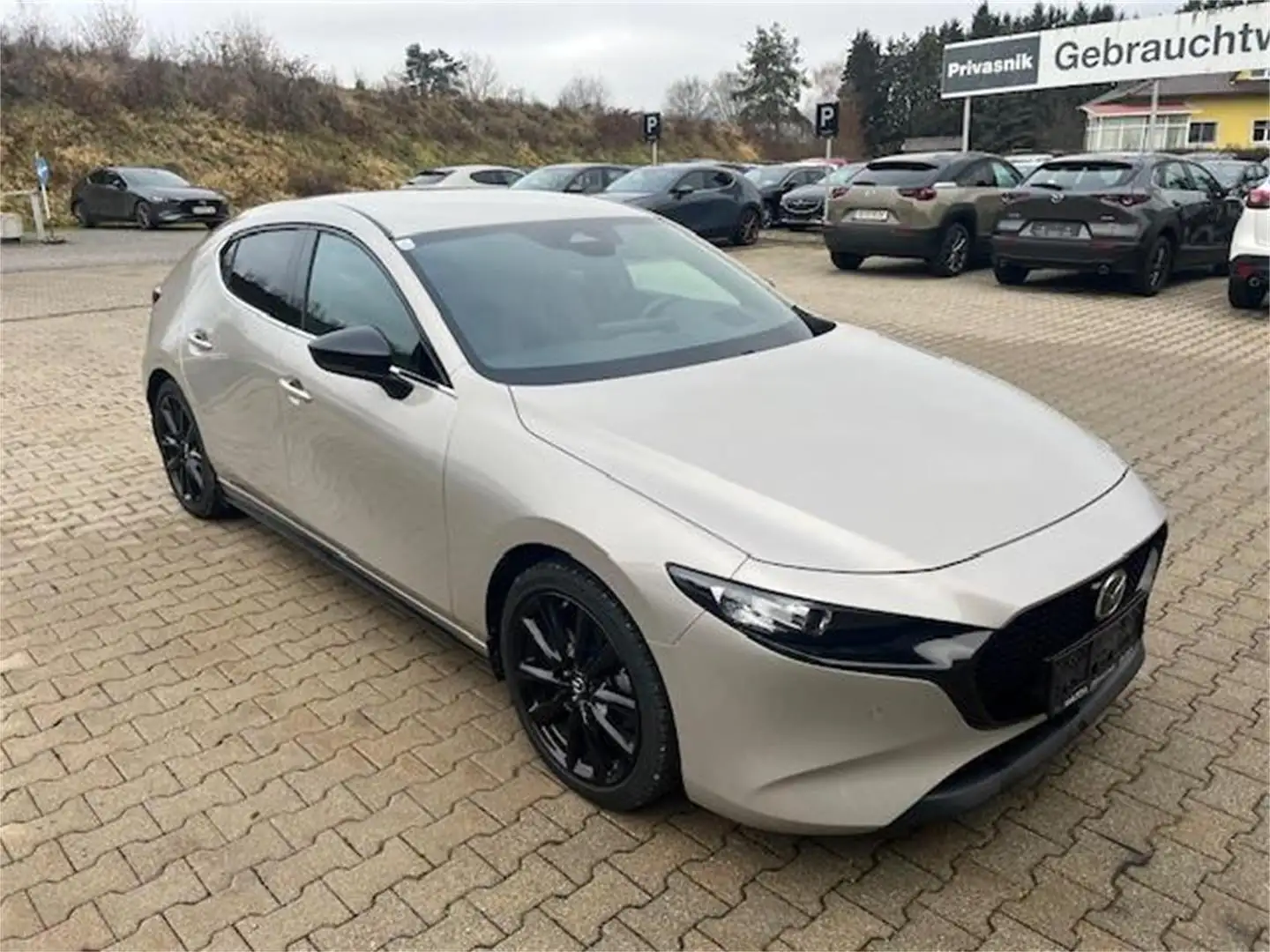 Mazda 3 e-Skyactiv-G122 Nagisa AHV, Winterräder - 2