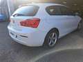 BMW 116 116i Advantage 3p Bianco - thumbnail 6