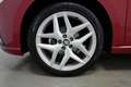 SEAT Ibiza 1.0 TGI FR 90CV Rosso - thumbnail 7