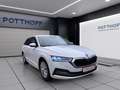 Skoda Octavia Combi 2.0 TDI STYLE NAVI LED SITZHZG PDC Weiß - thumbnail 6
