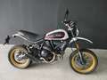 Ducati Scrambler 800 - SOLO EXPORT Grigio - thumbnail 1
