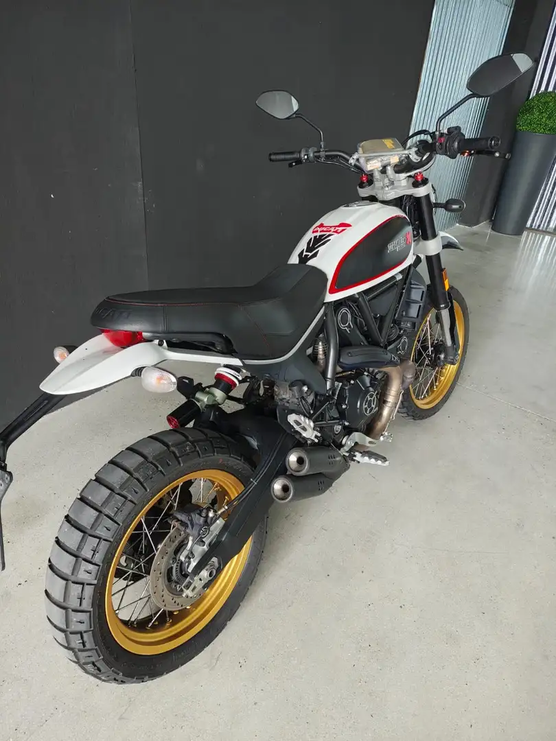 Ducati Scrambler 800 - SOLO EXPORT Grigio - 2