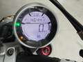 Ducati Scrambler 800 - SOLO EXPORT Grigio - thumbnail 3