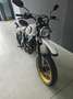 Ducati Scrambler 800 - SOLO EXPORT Grigio - thumbnail 4
