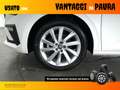 Skoda Scala Style 1.5 TSI 150 CV DSG Blanc - thumbnail 14