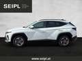 Hyundai TUCSON Tucson 1,6 T-GDI HEV 4WD Jubilé Aut.*Superbonus* Weiß - thumbnail 5