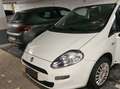 Fiat Grande Punto Punto 1.2 8V Білий - thumbnail 3
