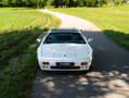 Lotus Esprit Turbo HCI Commemorative Edition Weiß - thumbnail 5