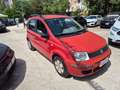Fiat Panda - thumbnail 4