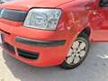 Fiat Panda - thumbnail 24
