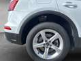 Audi Q5 40 TDI quattro S tronic AHK Paket Business Weiß - thumbnail 30