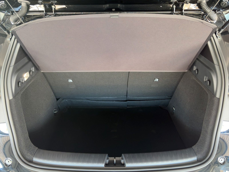 BYD Dolphin G DM-i Comfort /PANO/SHZ/SOFORT — photo 11