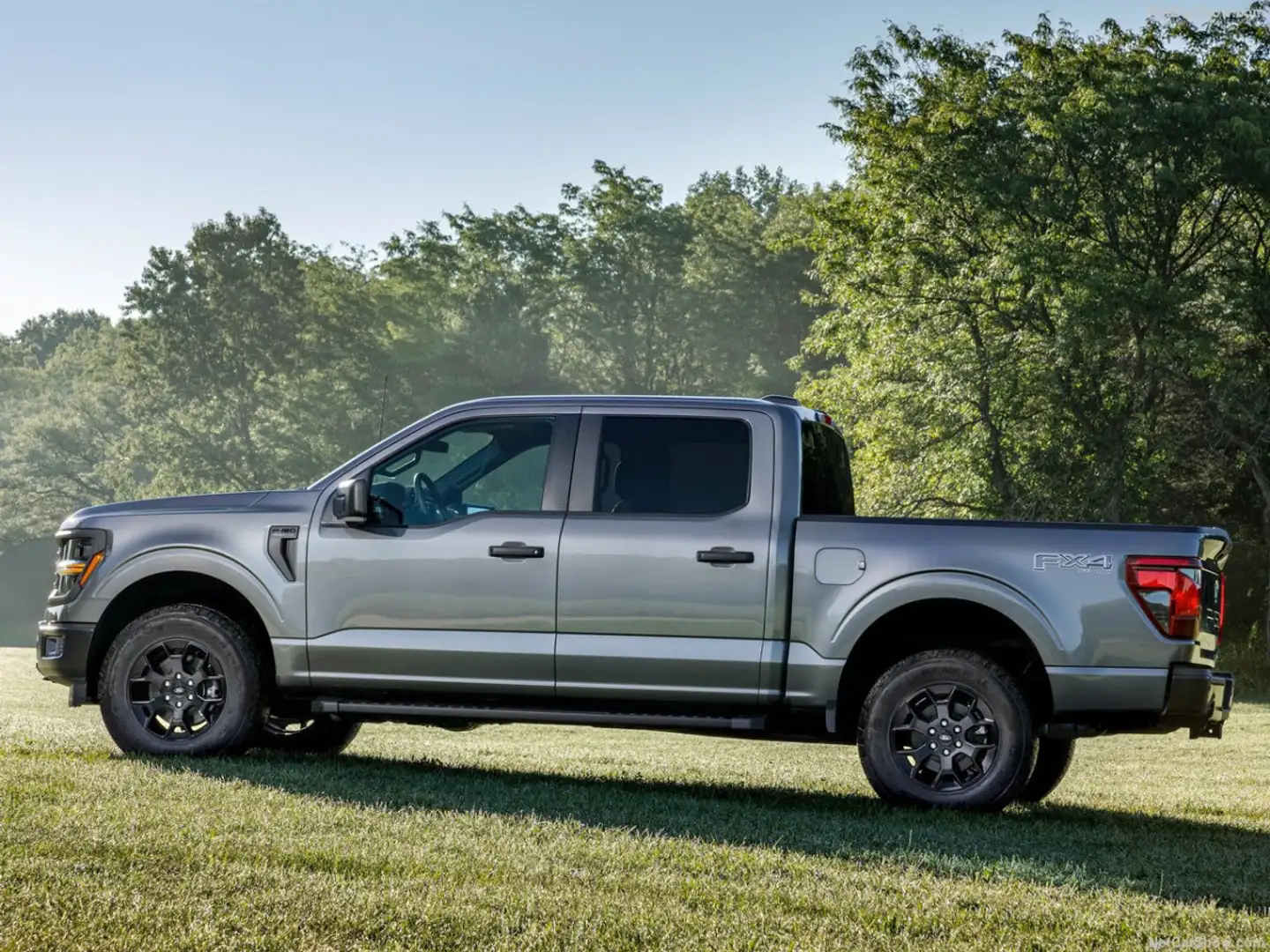 Ford F 150 F-150 Lariat Lariat 5.0 V8 MY25 Grijs - 1