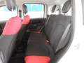 Fiat Panda 1.3 MJT 95 CV S&S Easy Bianco - thumbnail 12