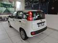 Fiat Panda 1.3 MJT 95 CV S&S Easy Bianco - thumbnail 4