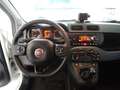 Fiat Panda 1.3 MJT 95 CV S&S Easy Bianco - thumbnail 8