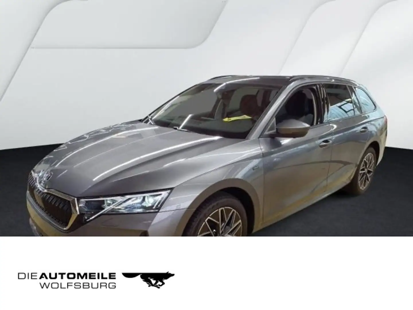 Skoda Octavia 4 IV Combi 2.0 TDI DSG Tour Stand/Matrix Grau - 1