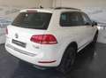 Volkswagen Touareg 3.0 V6 tdi Executive TETTO! FARI A LED! Blanc - thumbnail 5