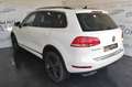 Volkswagen Touareg 3.0 V6 tdi Executive TETTO! FARI A LED! Blanc - thumbnail 7