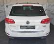 Volkswagen Touareg 3.0 V6 tdi Executive TETTO! FARI A LED! Blanc - thumbnail 6